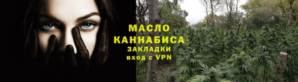 молекула духа Протвино